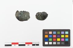 Foto von Bronzeknopf (NHMW-PRAE-023873)